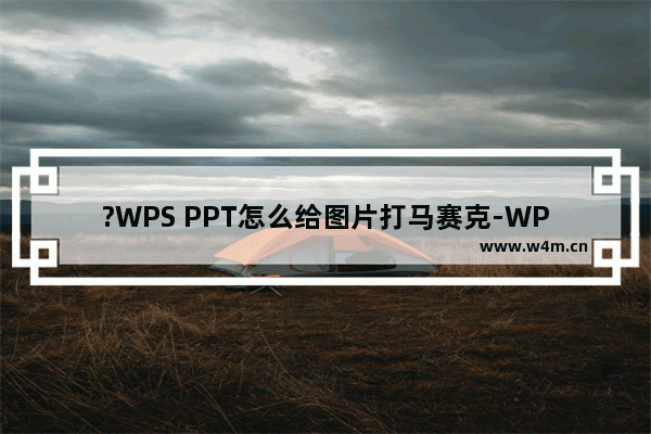 ?WPS PPT怎么给图片打马赛克-WPS演示文稿对图片进行马赛克处理的方法教程