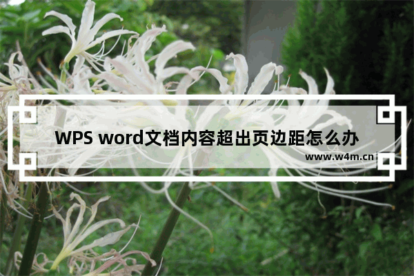 WPS word文档内容超出页边距怎么办-WPS word文档文字超出页边距的解决方法