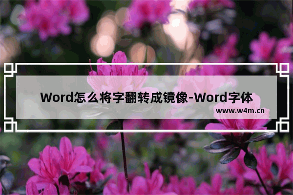 Word怎么将字翻转成镜像-Word字体翻转成镜像的方法