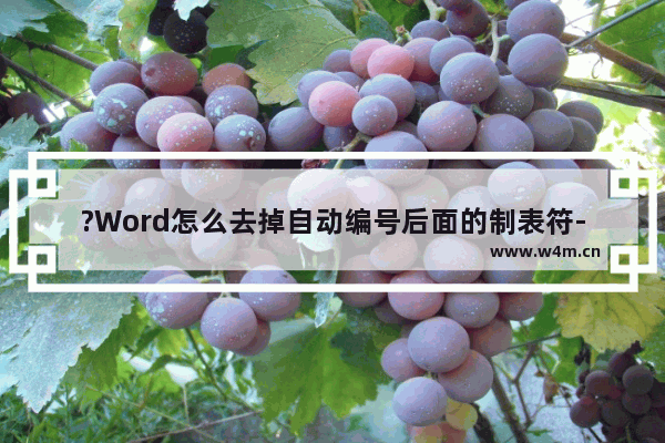 ?Word怎么去掉自动编号后面的制表符-Word文档去除编号后制表符的方法教程