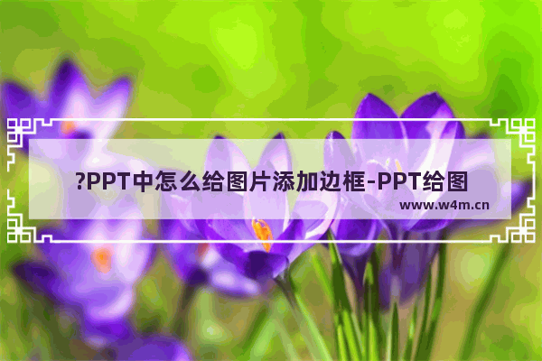 ?PPT中怎么给图片添加边框-PPT给图片添加装饰边框的方法教程