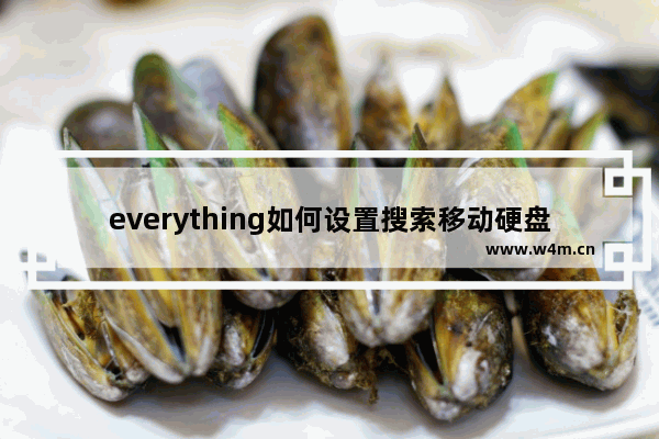 everything如何设置搜索移动硬盘-everything设置搜索移动硬盘的方法