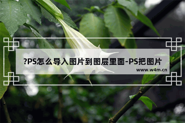 ?PS怎么导入图片到图层里面-PS把图片放在新建图层里的方法教程