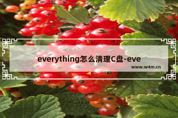 everything怎么清理C盘-everything清理C盘的方法