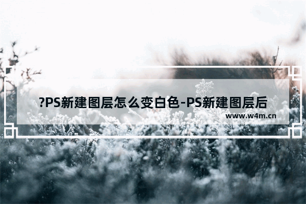 ?PS新建图层怎么变白色-PS新建图层后填充颜色的方法教程