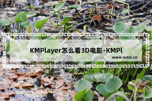 KMPlayer怎么看3D电影-KMPlayer看3D电影的设置方法