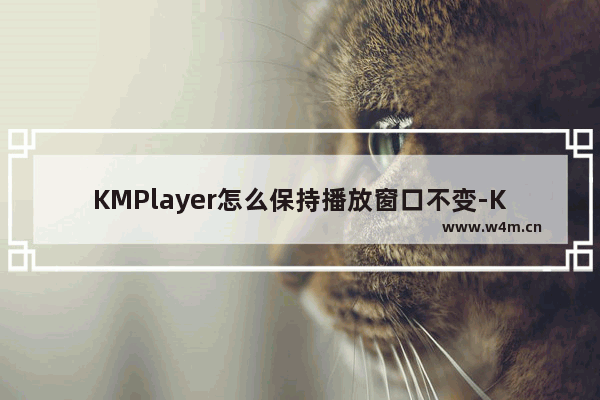 KMPlayer怎么保持播放窗口不变-KMPlayer保持播放窗口大小不变的方法