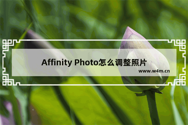 Affinity Photo怎么调整照片的曝光-Affinity Photo beta调整图片曝光的方法