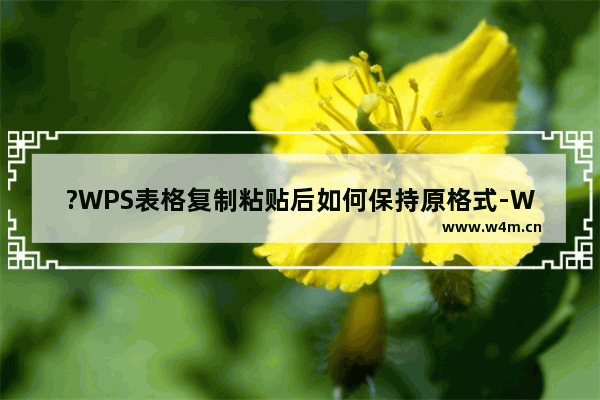 ?WPS表格复制粘贴后如何保持原格式-WPS表格复制粘贴后与原来格式一样的方法教程