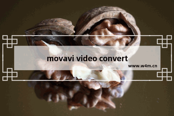 movavi video converter如何压缩图片-movavi video converter压缩图片的方法