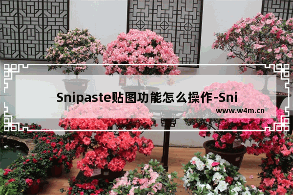 Snipaste贴图功能怎么操作-Snipaste进行贴图的方法