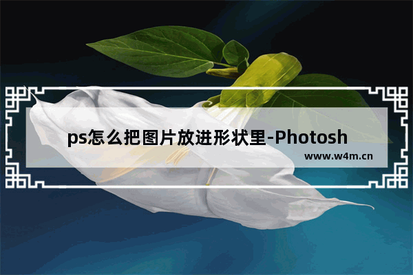 ps怎么把图片放进形状里-Photoshop把图片放进形状里的方法教程