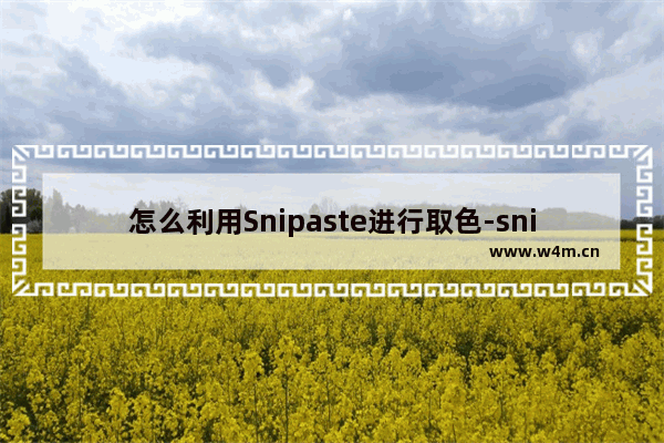 怎么利用Snipaste进行取色-snipaste吸取颜色的方法