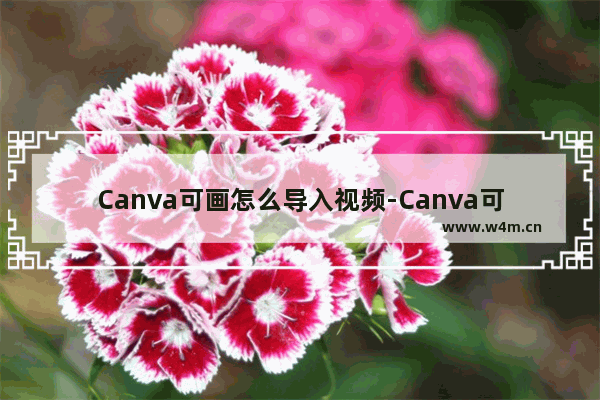 Canva可画怎么导入视频-Canva可画导入视频的方法