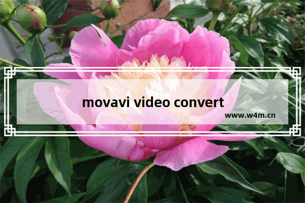 movavi video converter如何提取视频音轨-movavi video converter提取视频音轨的方法