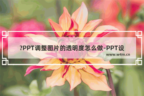 ?PPT调整图片的透明度怎么做-PPT设置图片透明度的方法教程