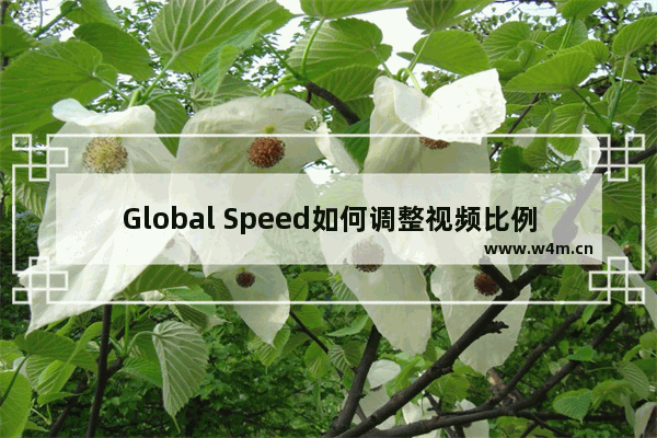 Global Speed如何调整视频比例-Global Speed调整视频比例的方法