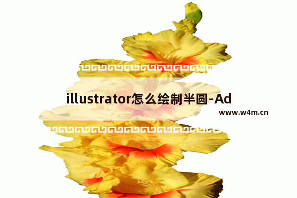 illustrator怎么绘制半圆-Adobe Illustrator画半圆的方法