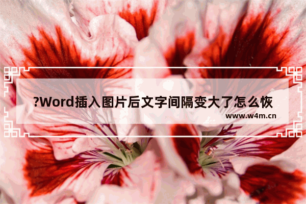 ?Word插入图片后文字间隔变大了怎么恢复-Word文档解决插入图片后文字间距变大的方法教程