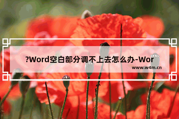 ?Word空白部分调不上去怎么办-Word文档解决空白移不上去的方法教程