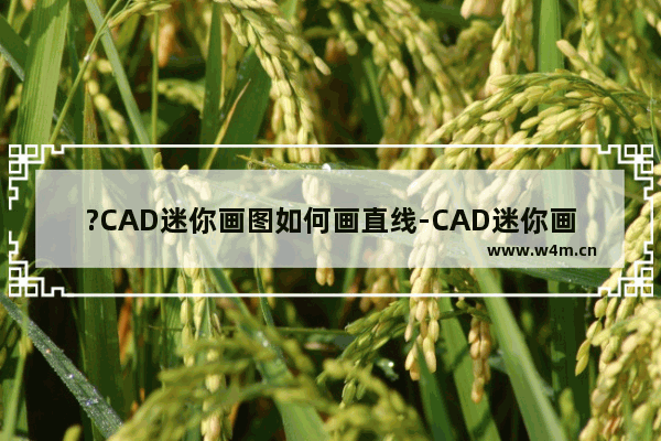 ?CAD迷你画图如何画直线-CAD迷你画图中绘制直线的方法教程