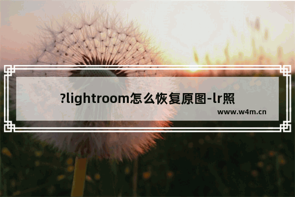 ?lightroom怎么恢复原图-lr照片复位到原始状态的方法教程