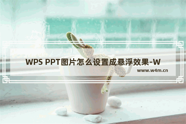 WPS PPT图片怎么设置成悬浮效果-WPS PPT图片设置为悬浮效果的方法