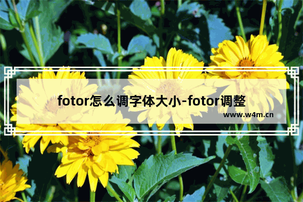 fotor怎么调字体大小-fotor调整字体大小的方法