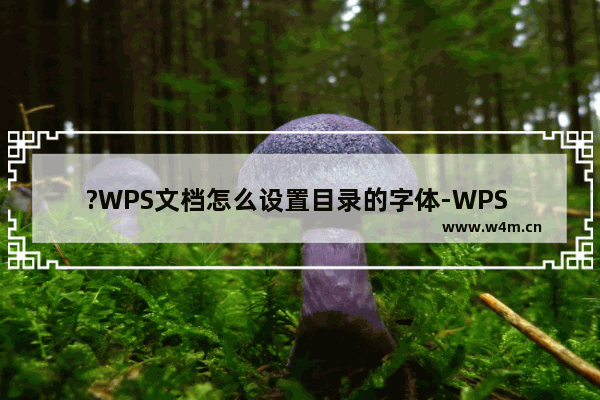 ?WPS文档怎么设置目录的字体-WPS Word设置目录的字体格式的方法教程