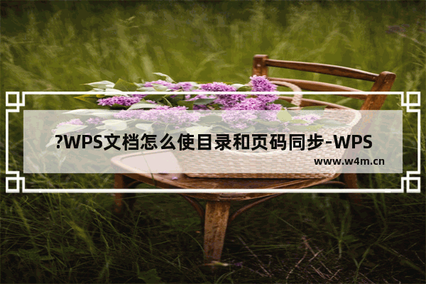 ?WPS文档怎么使目录和页码同步-WPS Word只更新目录页码保持内容不变的方法教程