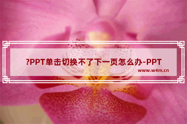 ?PPT单击切换不了下一页怎么办-PPT解决点击鼠标不切换页面的方法教程