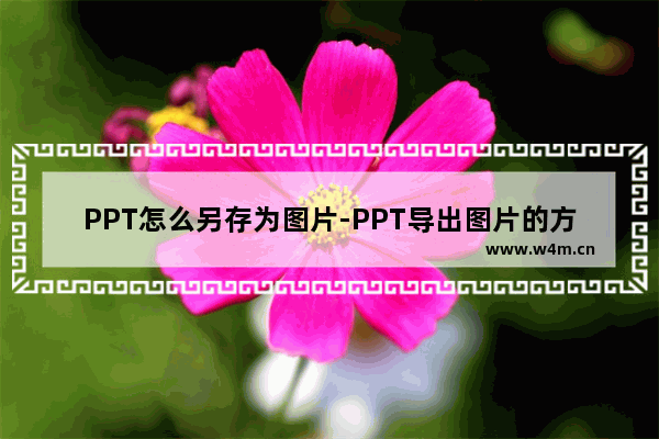 PPT怎么另存为图片-PPT导出图片的方法