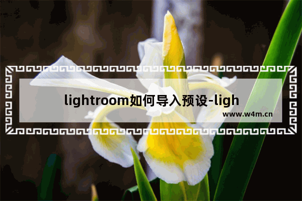 lightroom如何导入预设-lightroom导入预设的方法教程