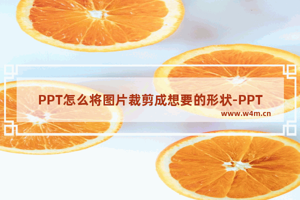 PPT怎么将图片裁剪成想要的形状-PPT将图片裁剪成想要的形状的方法