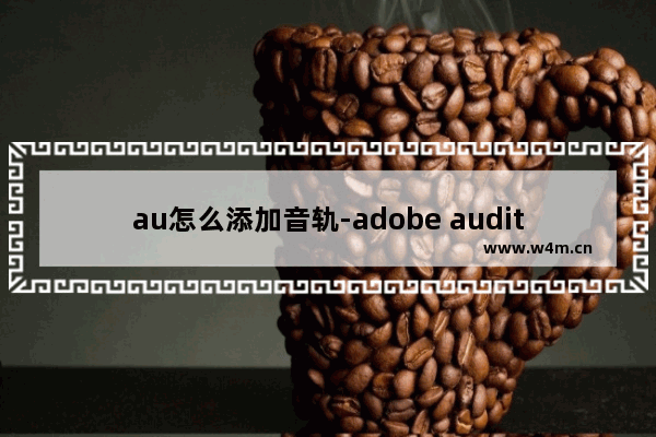 au怎么添加音轨-adobe audition添加音频轨道的方法