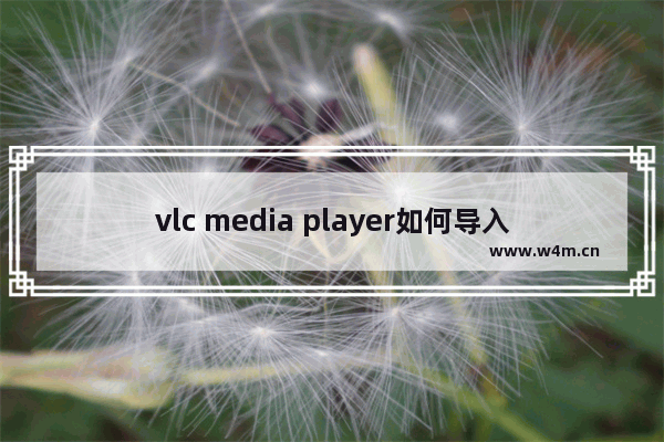 vlc media player如何导入视频-vlc media player导入视频的方法