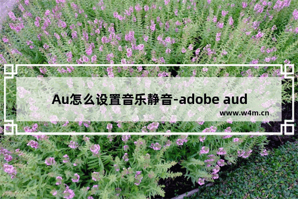 Au怎么设置音乐静音-adobe audition设置静音的操作方法