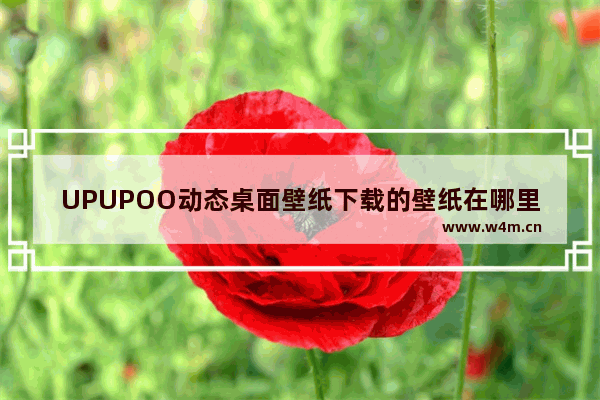 UPUPOO动态桌面壁纸下载的壁纸在哪里-upupoo动态壁纸查看下载壁纸路径的方法