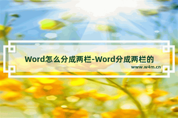 Word怎么分成两栏-Word分成两栏的方法