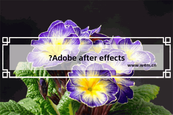 ?Adobe after effects倒放视频怎么弄-ae倒放视频的方法教程