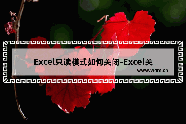 Excel只读模式如何关闭-Excel关闭只读模式的方法