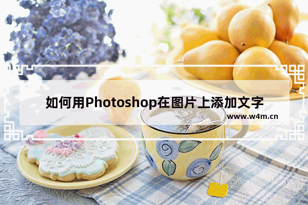 如何用Photoshop在图片上添加文字-Ps在图片上添加文字的方法