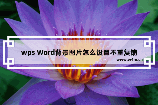 wps Word背景图片怎么设置不重复铺满-wps Word背景图片设置不重复铺满的方法