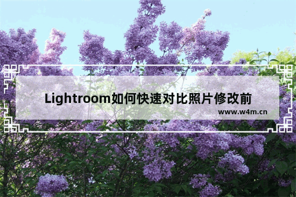 Lightroom如何快速对比照片修改前后-Lightroom快速对比修改前后照片的方法