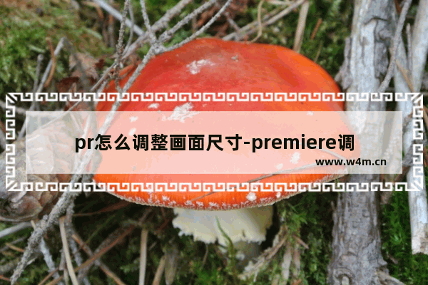 pr怎么调整画面尺寸-premiere调整视频画面尺寸大小的方法