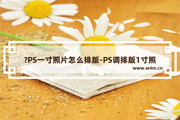 ?PS一寸照片怎么排版-PS调排版1寸照片8张的方法教程