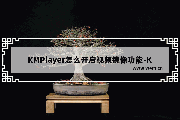 KMPlayer怎么开启视频镜像功能-KMPlayer开启视频镜像功能的方法