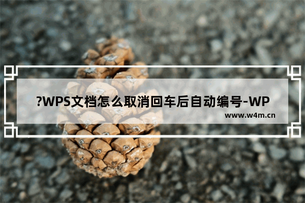 ?WPS文档怎么取消回车后自动编号-WPS Word里面取消一按回车就自动编号的方法教程