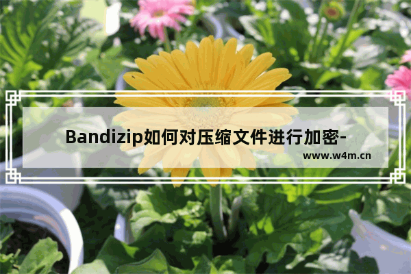 Bandizip如何对压缩文件进行加密-Bandizip加密压缩文件的方法