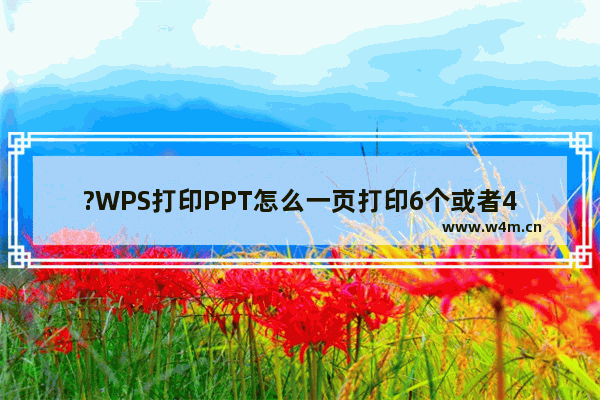 ?WPS打印PPT怎么一页打印6个或者4个-WPS PPT设置每页打印指定页数的方法教程